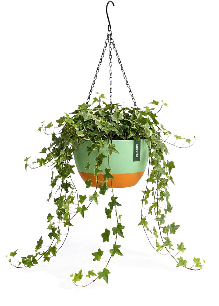 Hangpot met Afwatering - Groen - 21 cm
