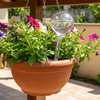 Waterdruppelaar voor Planten - 60 ml - Ø 5 cm