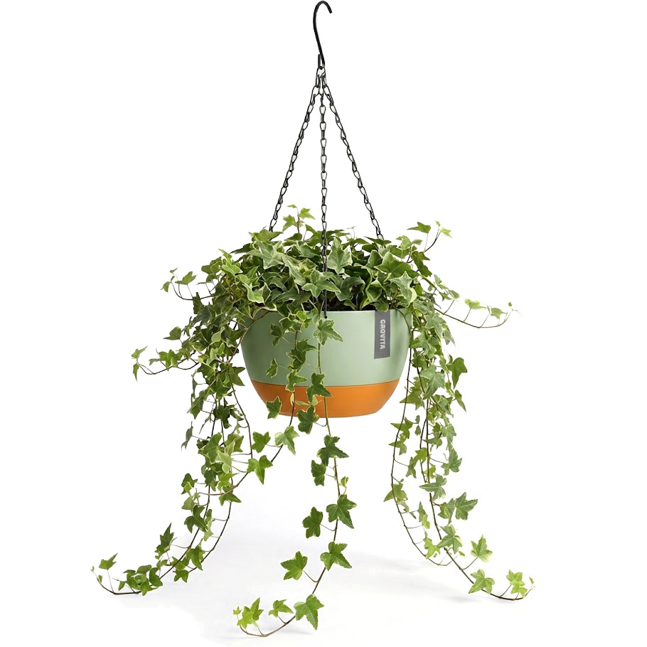 Hangpot met Afwatering - Groen - 24 cm