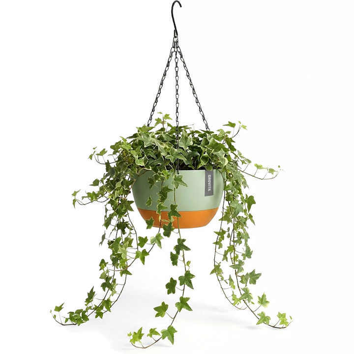 Hangpot met Afwatering - Groen - 21 cm