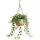 Hangpot met Afwatering - Groen - 24 cm