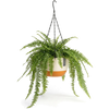 Hangpot met Afwatering - Wit/Creme - 24 cm