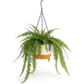 Hangpot met Afwatering - Wit/Creme - 24 cm