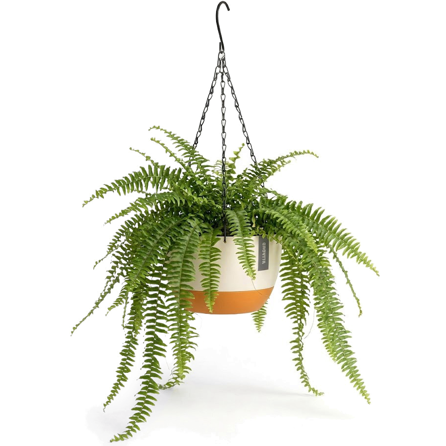 Hangpot met Afwatering - Wit/Creme - 24 cm