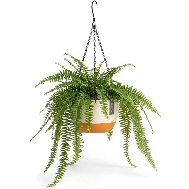Hangpot met Afwatering - Wit/Creme - 21 cm