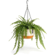 Hangpot met Afwatering - Wit/Creme - 24 cm