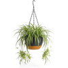 Hangpot met Afwatering - Zwart - 29 cm