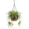 Hangpot met Afwatering - Zwart - 29 cm