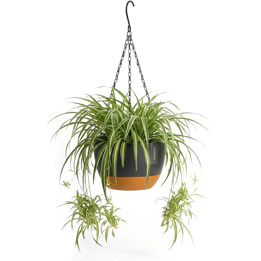 Hangpot met Afwatering - Zwart - 29 cm