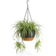 Hangpot met Afwatering - Zwart - 29 cm