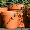 Terracotta Bloempot - Roodsteen - 14 cm