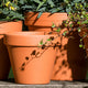Terracotta Bloempot - Roodsteen - 14 cm