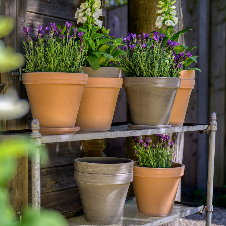 Terracotta Bloempotten