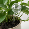 Waterdruppelaar voor Planten - 250 ml - Ø 8 cm