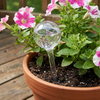 Waterdruppelaar voor Planten - 250 ml - Ø 8 cm