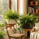 Hangpot met Afwatering - Zwart - 29 cm