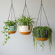 Hangpot met Afwatering - Groen - 29 cm