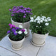 Terracotta Bloempot met Schotel - Graniet - 14 cm