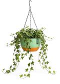 Hangpot met Afwatering - Groen - 21 cm