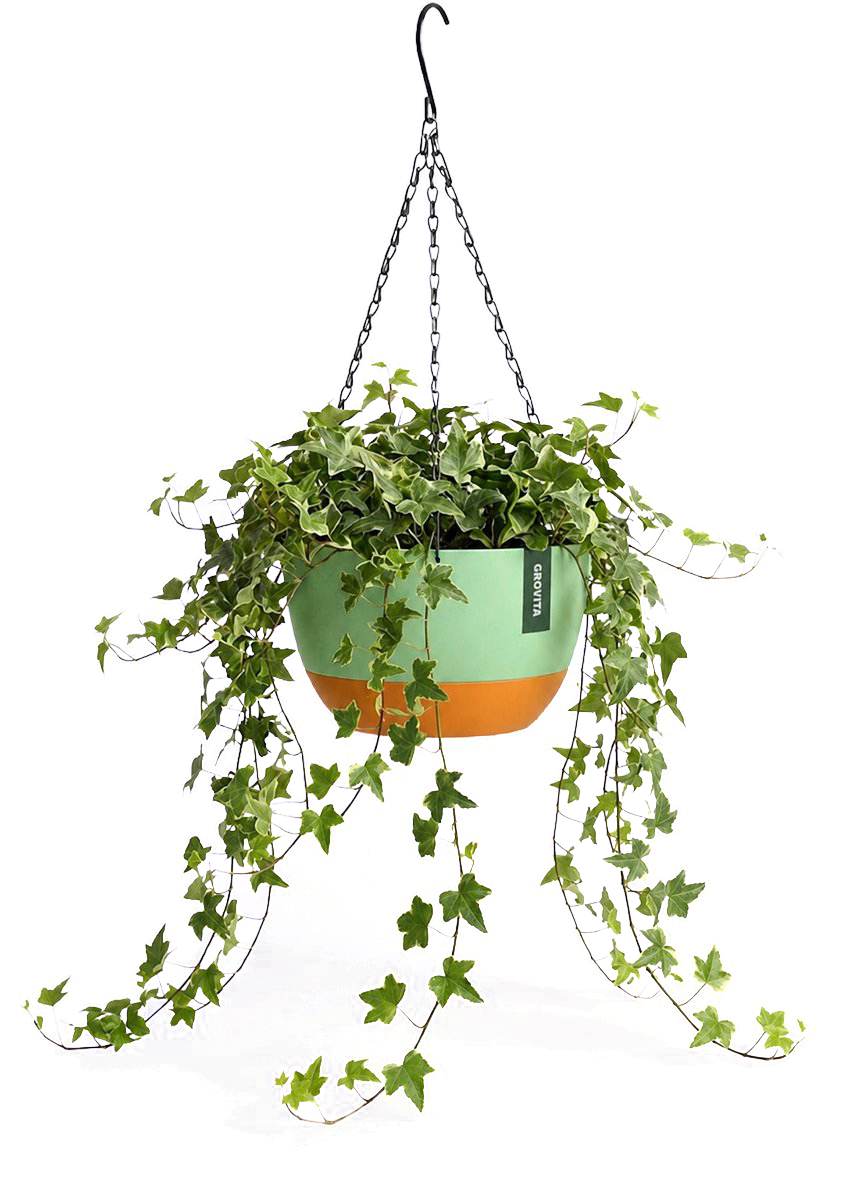 Hangpot met Afwatering - Groen - 21 cm