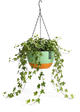 Hangpot met Afwatering - Groen - 21 cm